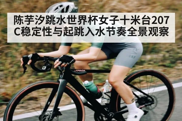 陈芋汐跳水世界杯女子十米台207C稳定性与起跳入水节奏全景观察